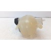 Recambio de deposito expansion para nissan micra v (k14) 1.0 dig-t 117 referencia OEM IAM 217105FA0A  