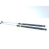 Recambio de amortiguadores capo para lexus is 2.5 16v cat (híbrido) referencia OEM IAM 5344053020 5345053010 