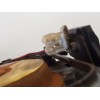 Recambio de airbag delantero izquierdo para mazda cx-7 (er) 2.2 turbodiesel cat referencia OEM IAM EH6257K00  