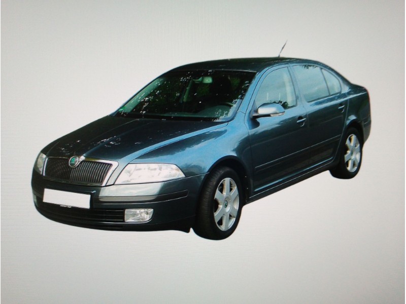 SKODA OCTAVIA BERLINA (1Z3)