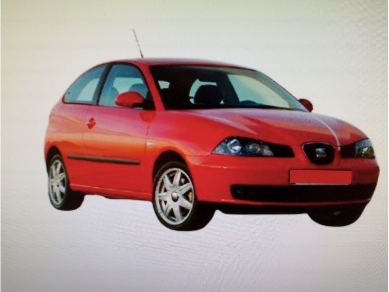 SEAT IBIZA (6L1)