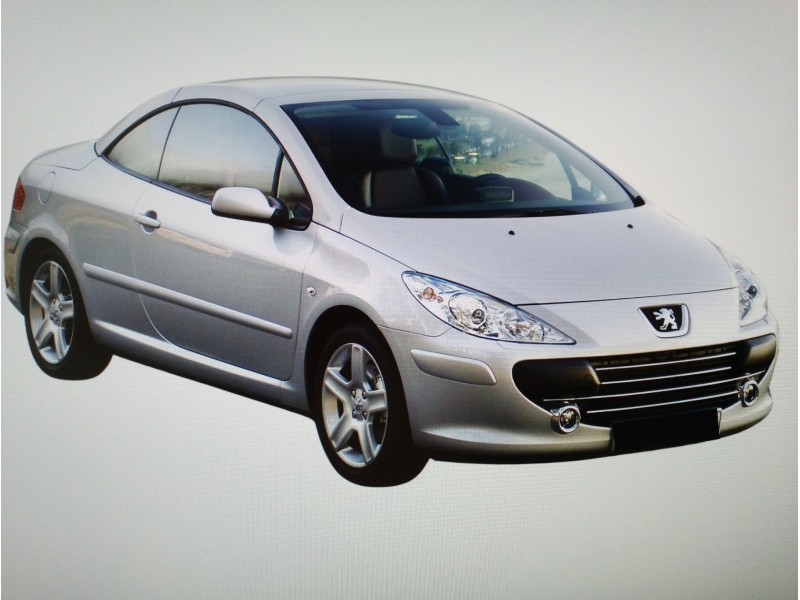 PEUGEOT 307 CC (S1)
