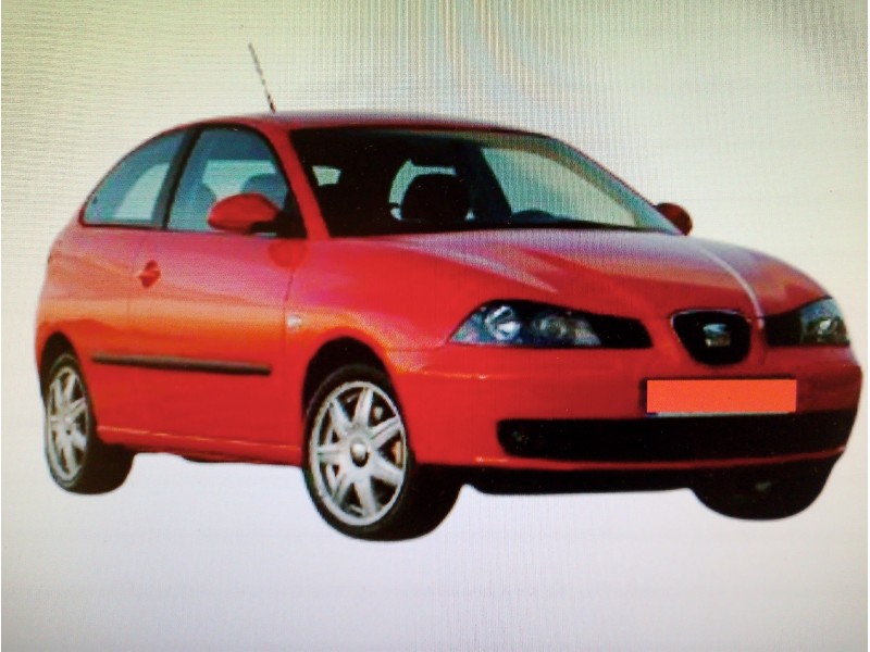 SEAT IBIZA (6L1)