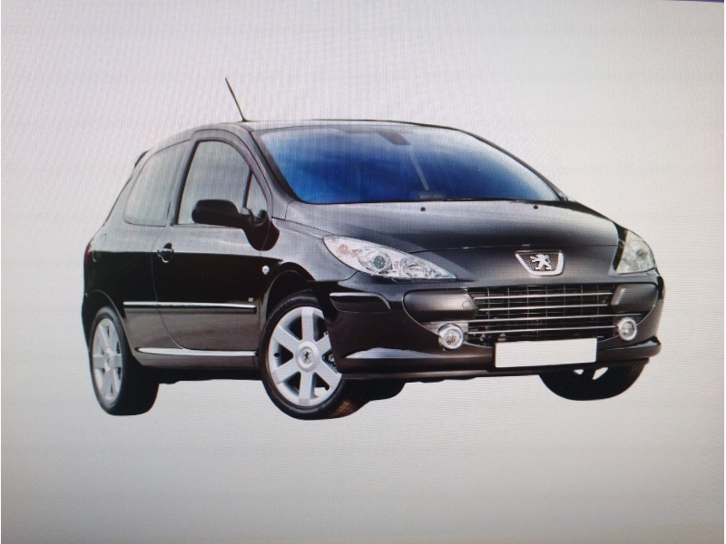 PEUGEOT 307 (S1)
