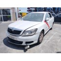 SKODA OCTAVIA BERLINA (1Z3)