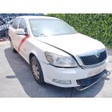 SKODA OCTAVIA BERLINA (1Z3)