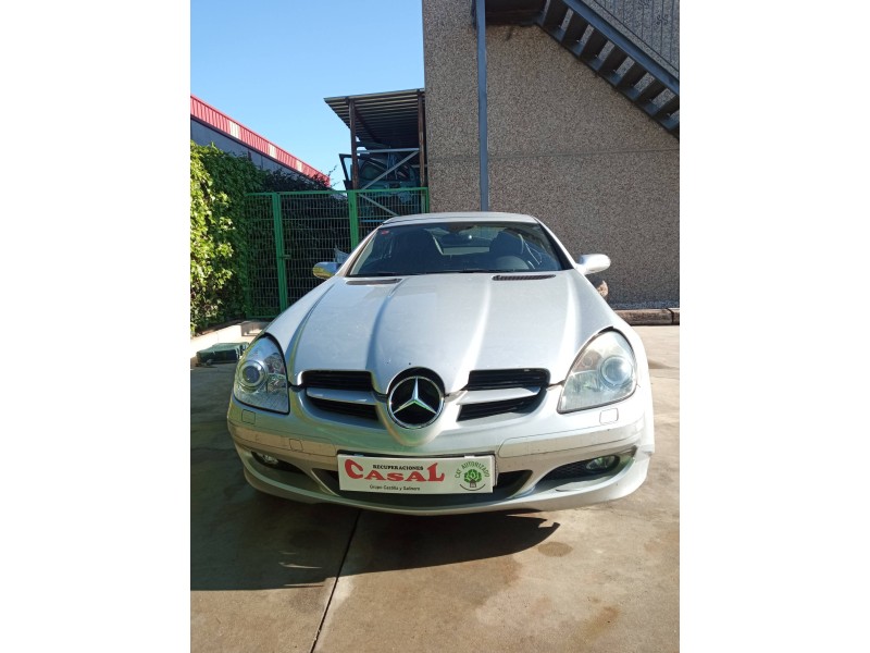 MERCEDES-BENZ CLASE SLK (W171) ROADSTER