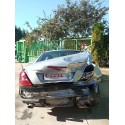 MERCEDES-BENZ CLASE SLK (W171) ROADSTER