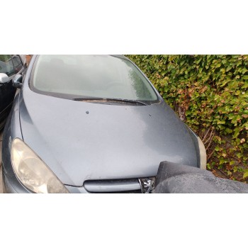 PEUGEOT 307 (3A/C)