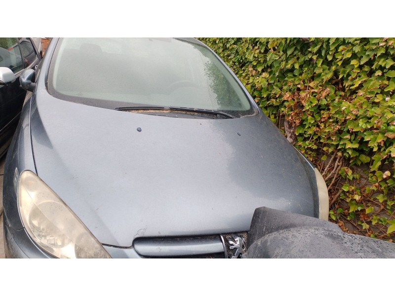 PEUGEOT 307 (3A/C)