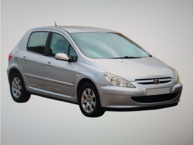 PEUGEOT 307 (S1)