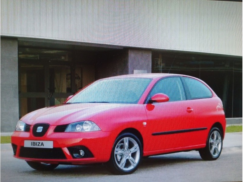 SEAT IBIZA (6L1)