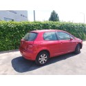 PEUGEOT 307 (S1)
