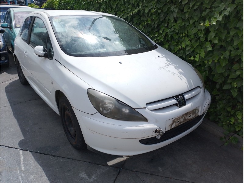 PEUGEOT 307 (S1)