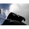 MINI MINI (R56)