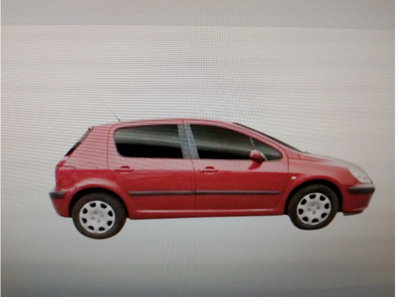 PEUGEOT 307 (S1)