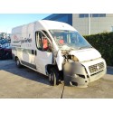 FIAT DUCATO CAJA ABEIRTA 33 (06.2006 =>)