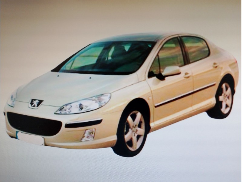 PEUGEOT 407