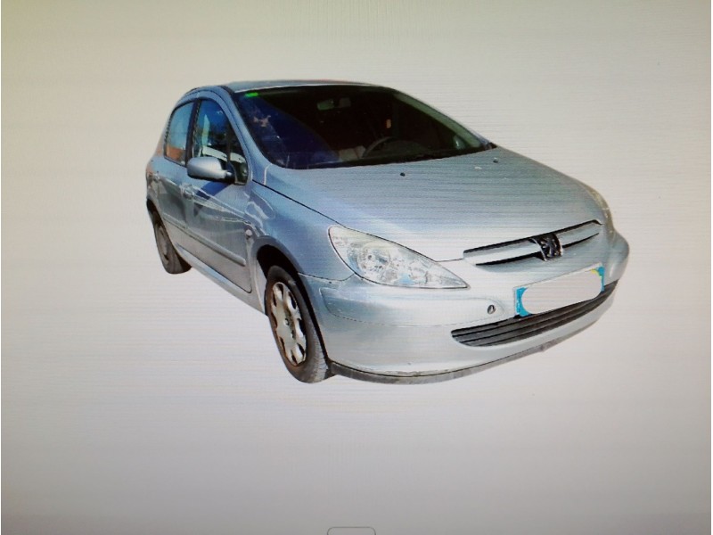 PEUGEOT 307 (S1)