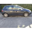 PEUGEOT 307 (S1)