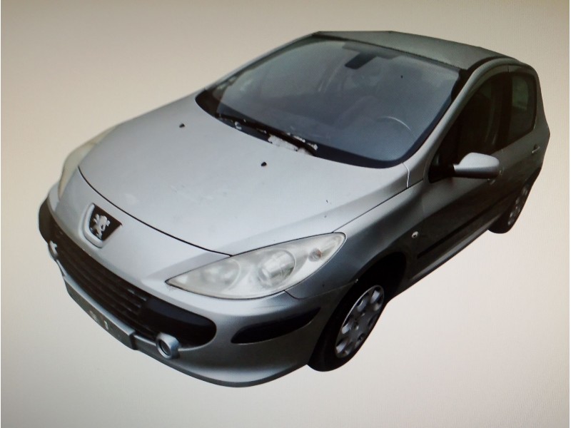 PEUGEOT 307 BERLINA (S2)