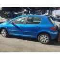 PEUGEOT 307 (S1)