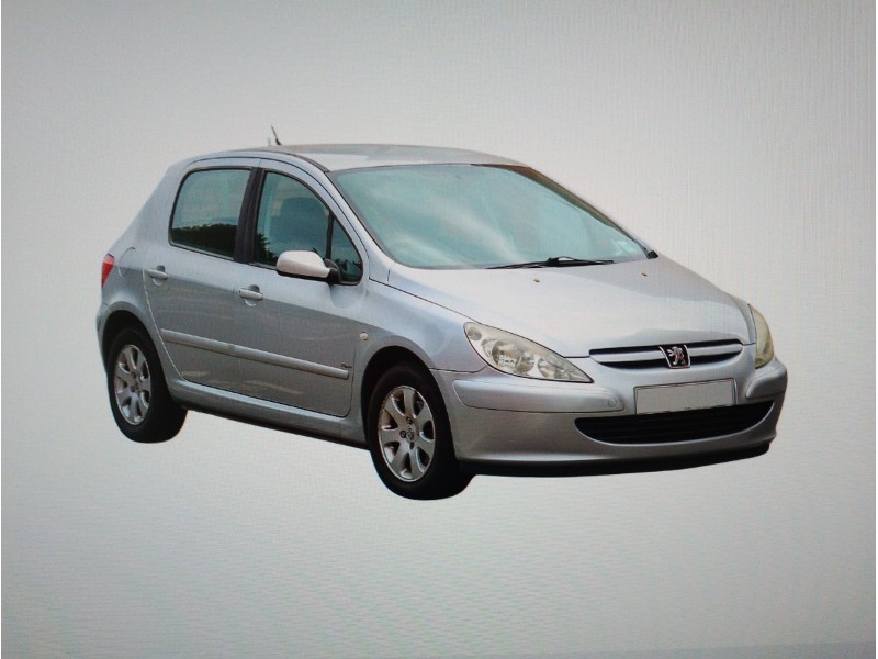 PEUGEOT 307 (S1)