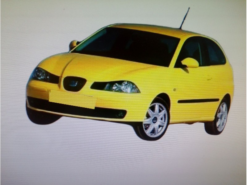SEAT IBIZA (6L1)