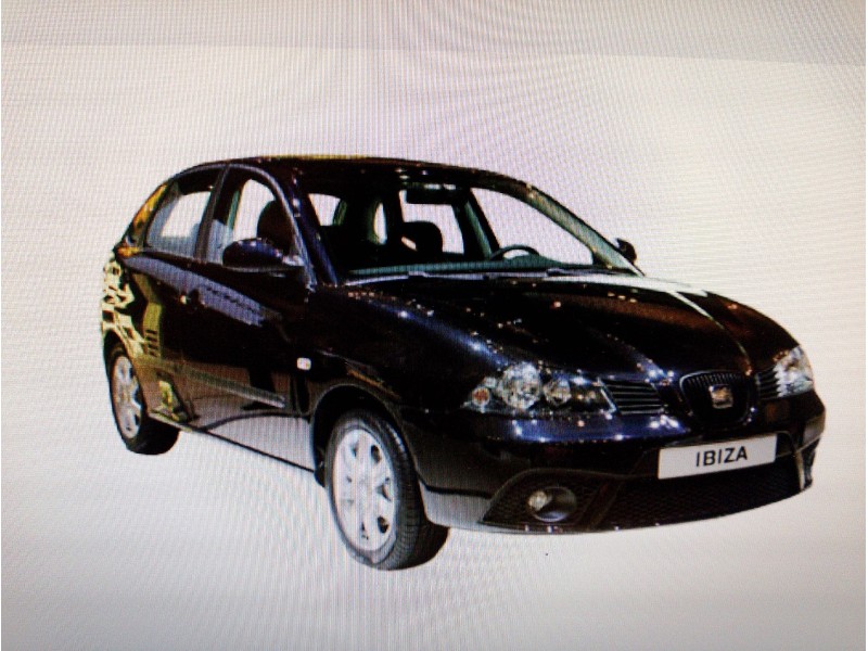 SEAT IBIZA (6L1)