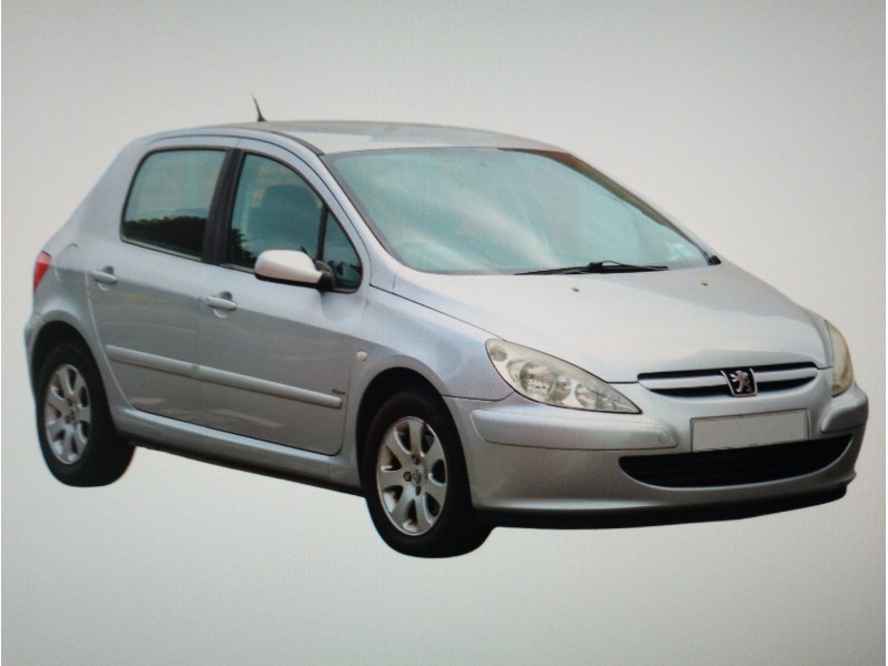 PEUGEOT 307 (S1)