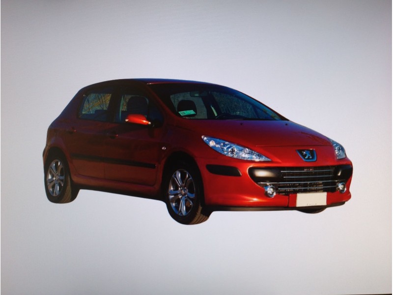 PEUGEOT 307 (S1)