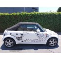 MINI MINI (R50,R53)