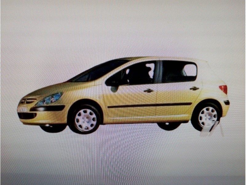 PEUGEOT 307 (S1)