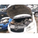 SKODA FABIA II (542)
