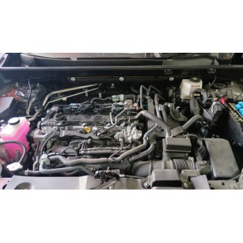 MOTOR COMPLETO 190002E010 