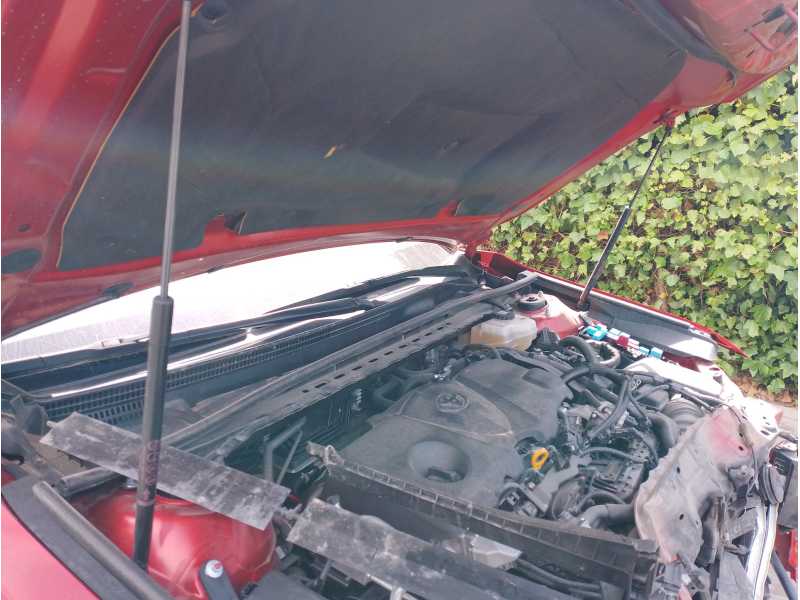 Recambio de amortiguadores capo para toyota camry (v4) 2.4 16v cat referencia OEM IAM   