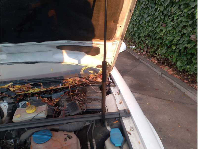 Recambio de amortiguadores capo para audi a4 b7 avant (8ed) 2.0 tdi referencia OEM IAM 8E0863825AK  