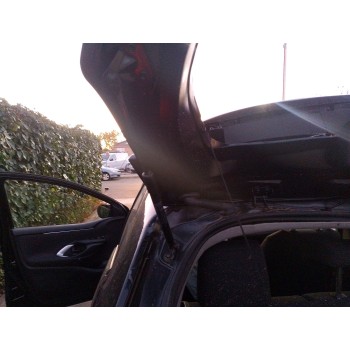 AMORTIGUADORES MALETERO / PORTON 68960K0020 