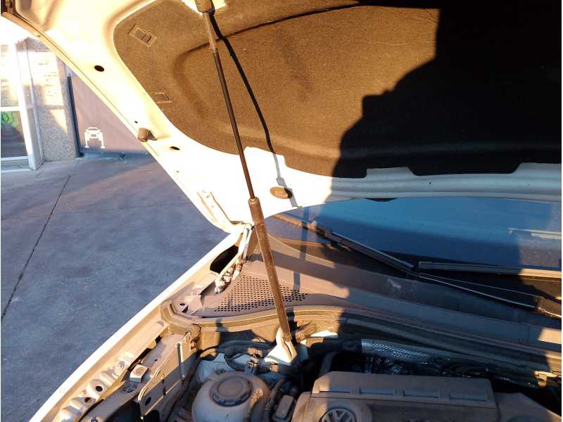 Recambio de amortiguadores capo para volkswagen tiguan (ad1, ax1) 2.0 tdi referencia OEM IAM 5NA823359A  