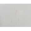 Recambio de puerta delantera derecha para nissan terrano ii (r20) 2.7 tdi 4wd referencia OEM IAM 801007F031  