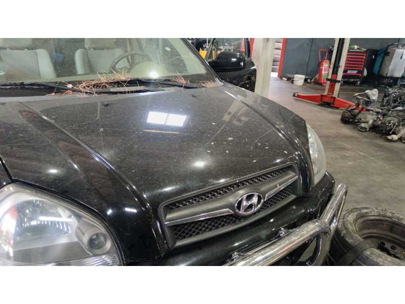 Recambio de capot para hyundai tucson (jm) 2.0 referencia OEM IAM   