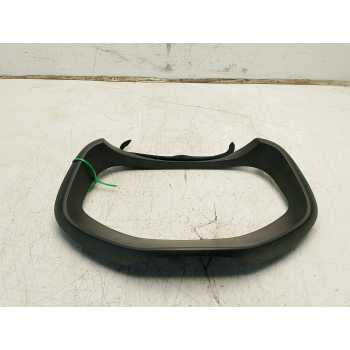 MOLDURA 554110D250C1 