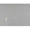 Recambio de puerta delantera izquierda para kia carens ( ) referencia OEM IAM 76003A4000  
