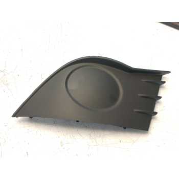 MOLDURA 7701208685 107194624 