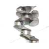 Recambio de cigueñal para hyundai ix35 1.7 crdi cat referencia OEM IAM 231112A802A ABBAB / AAAB6 / 1005113 
