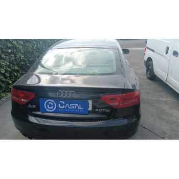 PORTON TRASERO 