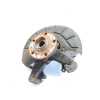 Recambio de mangueta delantera derecha para seat leon (1m1) 1.9 tdi referencia OEM IAM 1J0407256AG  