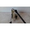 Recambio de cerradura puerta delantera izquierda para volkswagen golf iii variant ( 1h5) cl referencia OEM IAM   