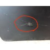 Recambio de puerta trasera derecha para toyota verso business referencia OEM IAM 670030F050  