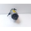 Recambio de motor limpia trasero para seat leon (1p1) comfort limited referencia OEM IAM 5P0955711C 53033812 